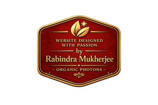 Website designed by Rabindra Mukherjee - Organic Photons